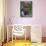 Mixed Flowers and Old Chair, Seattle, Washington, USA-Terry Eggers-Mounted Photographic Print displayed on a wall