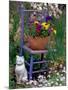 Mixed Flowers and Old Chair, Seattle, Washington, USA-Terry Eggers-Mounted Photographic Print