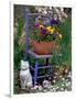 Mixed Flowers and Old Chair, Seattle, Washington, USA-Terry Eggers-Framed Photographic Print