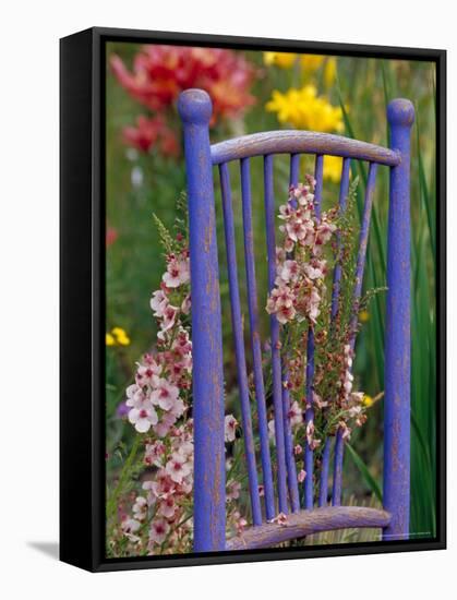 Mixed Flowers and Old Chair, Seattle, Washington, USA-Terry Eggers-Framed Stretched Canvas
