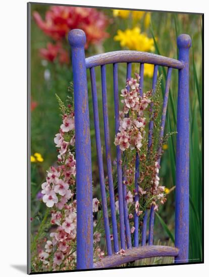 Mixed Flowers and Old Chair, Seattle, Washington, USA-Terry Eggers-Mounted Photographic Print