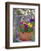 Mixed Flowers and Old Chair, Seattle, Washington, USA-Terry Eggers-Framed Photographic Print