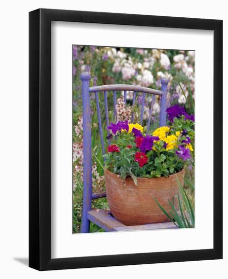 Mixed Flowers and Old Chair, Seattle, Washington, USA-Terry Eggers-Framed Photographic Print