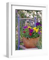 Mixed Flowers and Old Chair, Seattle, Washington, USA-Terry Eggers-Framed Photographic Print