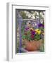 Mixed Flowers and Old Chair, Seattle, Washington, USA-Terry Eggers-Framed Photographic Print