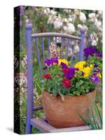 Mixed Flowers and Old Chair, Seattle, Washington, USA-Terry Eggers-Stretched Canvas