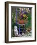 Mixed Flowers and Old Chair, Seattle, Washington, USA-Terry Eggers-Framed Photographic Print