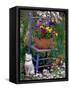 Mixed Flowers and Old Chair, Seattle, Washington, USA-Terry Eggers-Framed Stretched Canvas