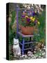 Mixed Flowers and Old Chair, Seattle, Washington, USA-Terry Eggers-Stretched Canvas