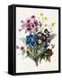 Mixed Flowers-Louise D'Orleans-Framed Stretched Canvas
