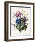 Mixed Flowers-Louise D'Orleans-Framed Giclee Print