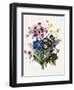 Mixed Flowers-Louise D'Orleans-Framed Giclee Print