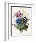 Mixed Flowers-Louise D'Orleans-Framed Giclee Print