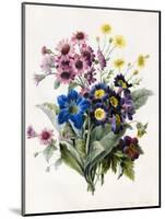 Mixed Flowers-Louise D'Orleans-Mounted Giclee Print