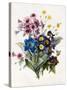 Mixed Flowers-Louise D'Orleans-Stretched Canvas