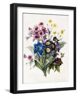 Mixed Flowers-Louise D'Orleans-Framed Giclee Print