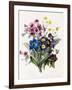 Mixed Flowers-Louise D'Orleans-Framed Giclee Print