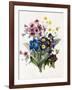 Mixed Flowers-Louise D'Orleans-Framed Giclee Print