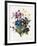 Mixed Flowers-Louise D'Orleans-Framed Giclee Print