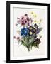 Mixed Flowers-Louise D'Orleans-Framed Giclee Print