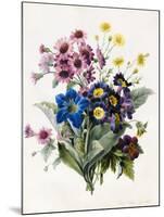 Mixed Flowers-Louise D'Orleans-Mounted Giclee Print