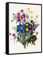 Mixed Flowers-Louise D'Orleans-Framed Stretched Canvas