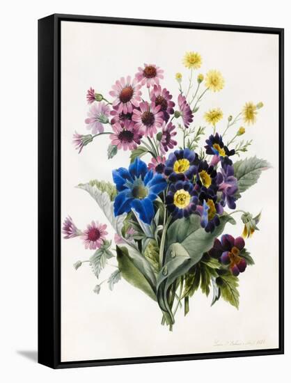 Mixed Flowers-Louise D'Orleans-Framed Stretched Canvas