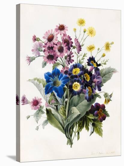 Mixed Flowers-Louise D'Orleans-Stretched Canvas