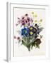 Mixed Flowers-Louise D'Orleans-Framed Giclee Print