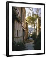 Mixed Forest, Autumn-Thonig-Framed Photographic Print