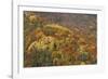 Mixed Forest in Autumn with Pine Poplar Oak Lime-null-Framed Photographic Print