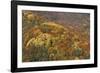 Mixed Forest in Autumn with Pine Poplar Oak Lime-null-Framed Photographic Print