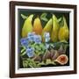 Mixed Fruit, 2013-Jennifer Abbott-Framed Giclee Print