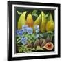 Mixed Fruit, 2013-Jennifer Abbott-Framed Giclee Print