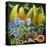 Mixed Fruit, 2013-Jennifer Abbott-Stretched Canvas