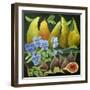 Mixed Fruit, 2013-Jennifer Abbott-Framed Giclee Print