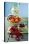 Mixed Fruit with Lemonade-Eising Studio - Food Photo and Video-Stretched Canvas