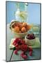 Mixed Fruit with Lemonade-Eising Studio - Food Photo and Video-Mounted Photographic Print