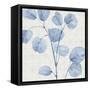 Mixed Greens LII Blue-Lisa Audit-Framed Stretched Canvas