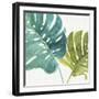 Mixed Greens LXXV-Lisa Audit-Framed Art Print