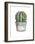 Mixed Greens Succulent II-null-Framed Art Print