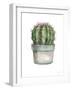 Mixed Greens Succulent II-null-Framed Art Print