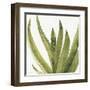 Mixed Greens XXXVIII-Lisa Audit-Framed Art Print