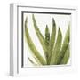 Mixed Greens XXXVIII-Lisa Audit-Framed Art Print