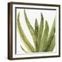 Mixed Greens XXXVIII-Lisa Audit-Framed Art Print