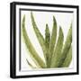 Mixed Greens XXXVIII-Lisa Audit-Framed Art Print