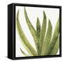 Mixed Greens XXXVIII-Lisa Audit-Framed Stretched Canvas