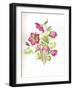 Mixed Hellebores-Sally Crosthwaite-Framed Giclee Print