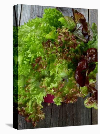 Mixed Lettuce-zhekos-Stretched Canvas