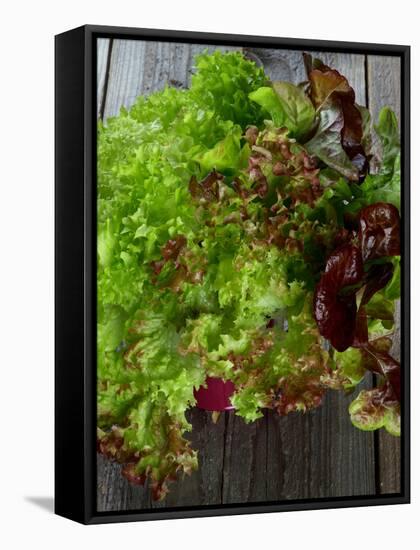 Mixed Lettuce-zhekos-Framed Stretched Canvas